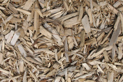 biomass boilers Radlet