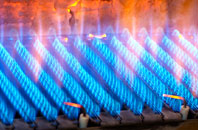 Radlet gas fired boilers